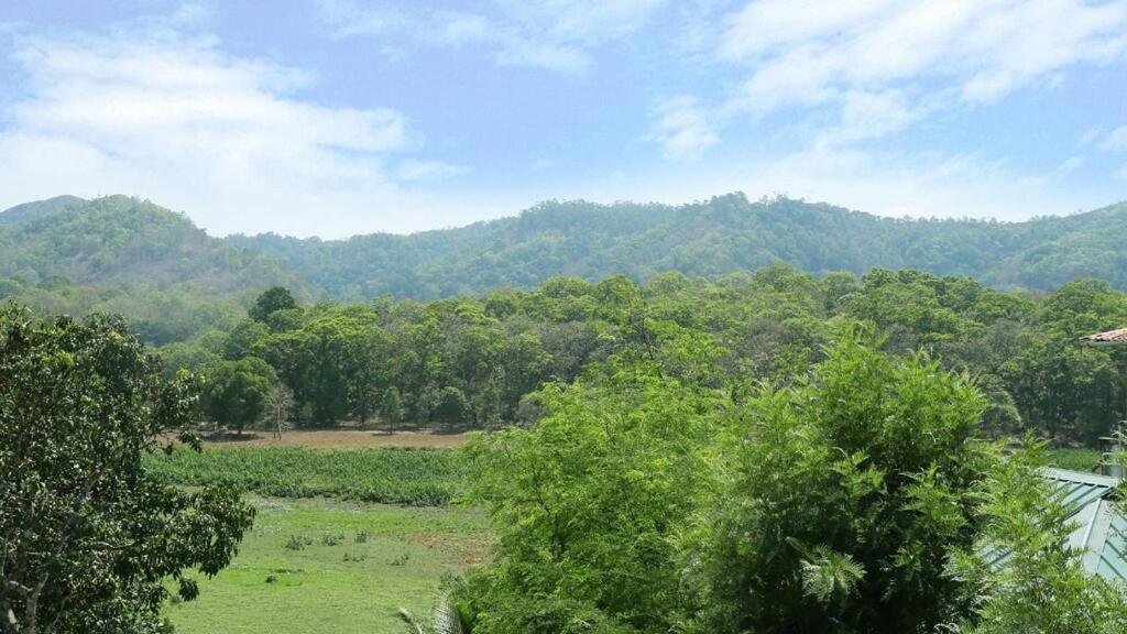 Hill Green Home Stay Thekkady Exteriör bild
